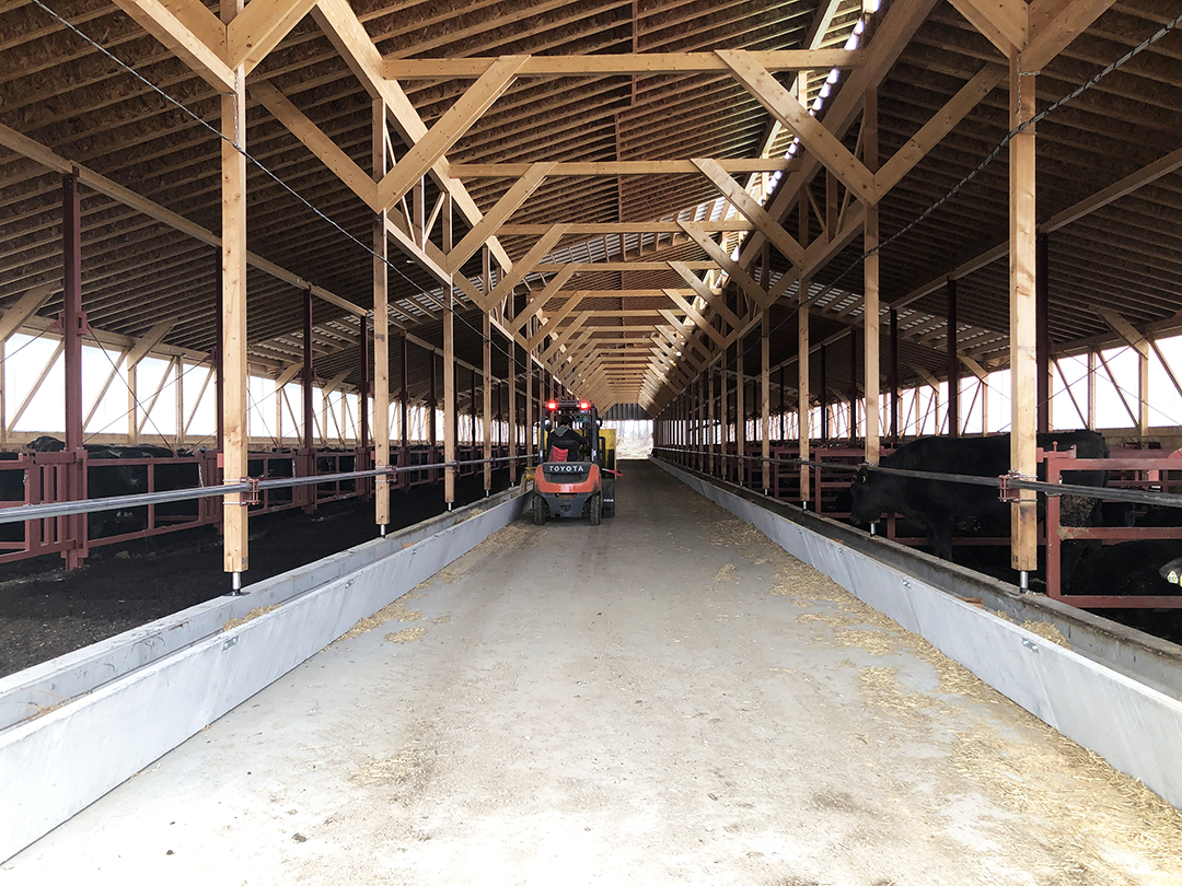 （音更町）畜産牧場 木造畜舎建設工事3