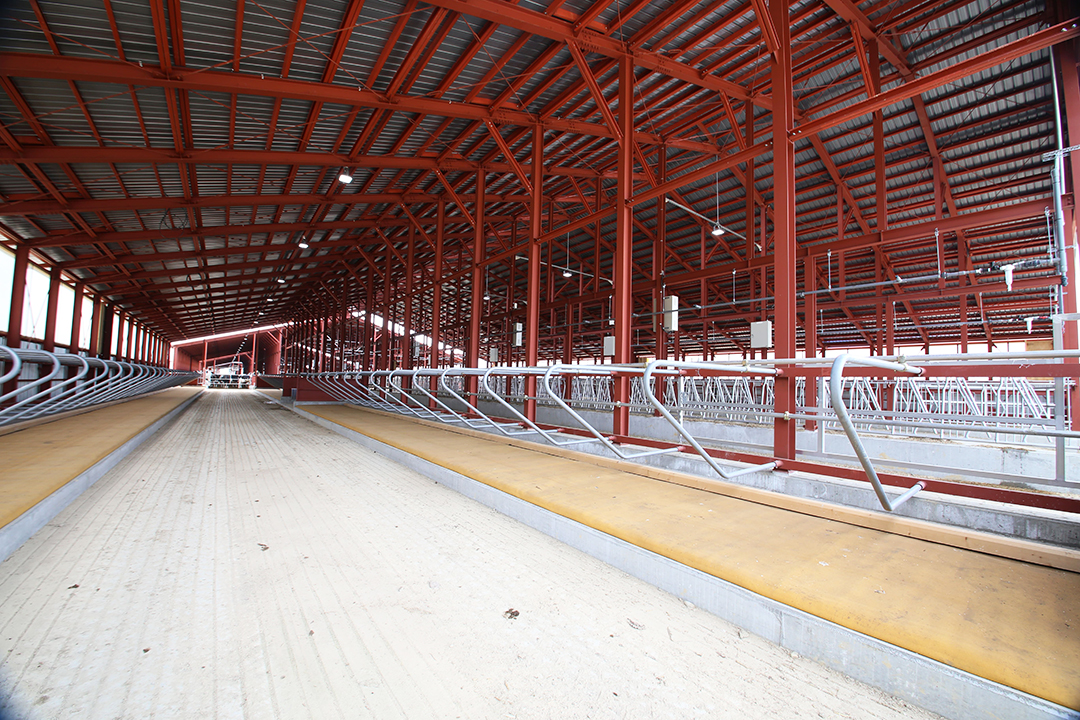 （清水町）酪農牧場 畜舎建設工事ム1