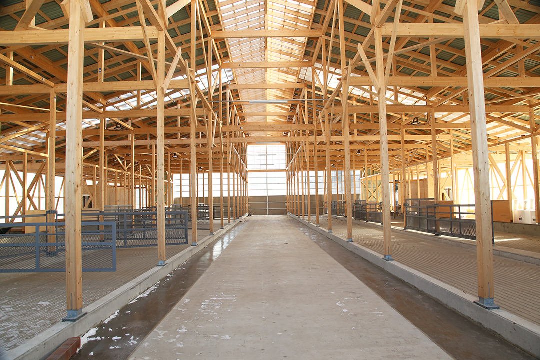 （清水町）畜産牧場 木造畜舎建設工事3