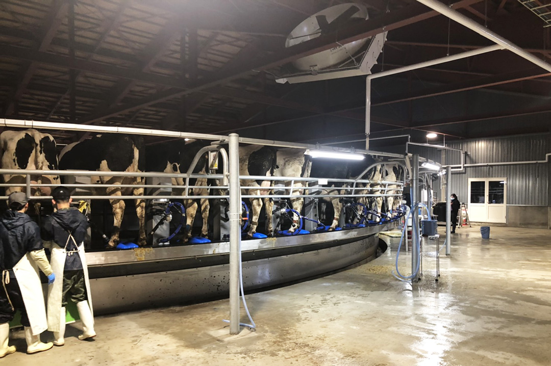 （浦幌町）酪農牧場 畜舎建設工事7